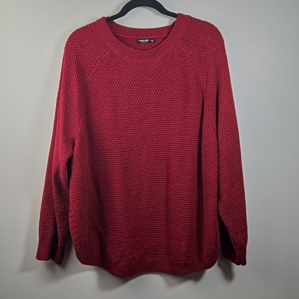 Shein Curve Burgundy Sweater EUC